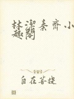 林洁秦齐小说笔趣阁