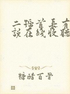 二号首长有声小说在线收听