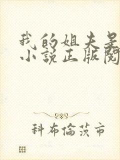 我的姐夫是太子小说正版阅读