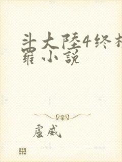 斗大陆4终极斗罗小说