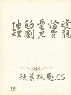 他的爱恰逢其时短剧免费观看全集