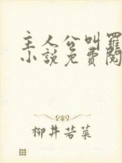 主人公叫罗铮的小说免费阅读笔趣阁封面