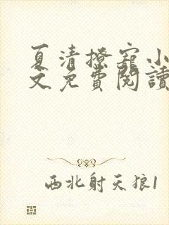 夏清撩宠小说全文免费阅读