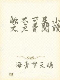 触不可及小说全文免费阅读