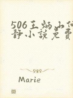 506王炳山何静小说免费阅读