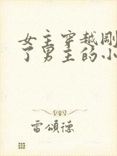 女主穿越刚好救了男主的小说