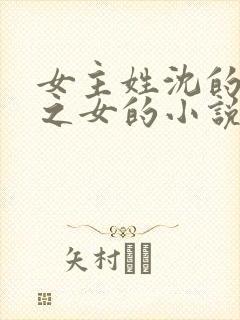 女主姓沈的丞相之女的小说