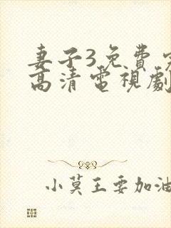 妻子3免费完整高清电视剧在线观看,