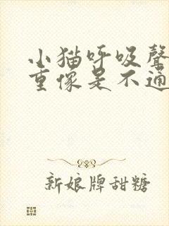 小猫呼吸声音粗重像是不通气