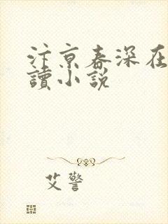 汴京春深在线阅读小说