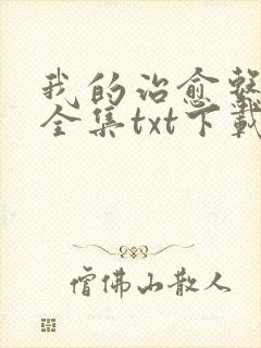 我的治愈系游戏全集txt下载封面