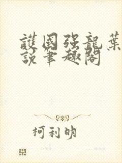 护国强龙叶空小说笔趣阁