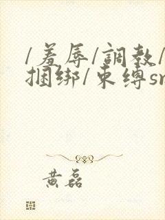 /羞辱/调教/捆绑/束缚sm