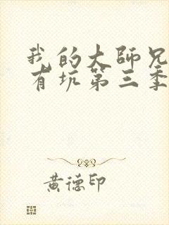 我的大师兄脑子有坑第三季