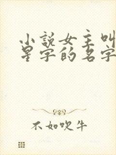 小说女主叫带有星字的名字