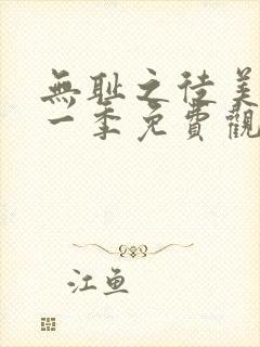 无耻之徒美版第一季免费观看