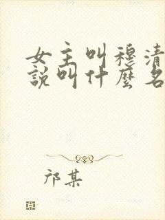 女主叫穆清的小说叫什么名字