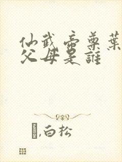 仙武帝尊叶辰的父母是谁