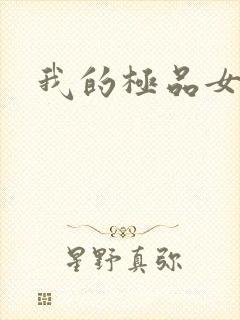 我的极品女老师封面