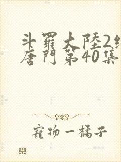 斗罗大陆2绝世唐门第40集封面