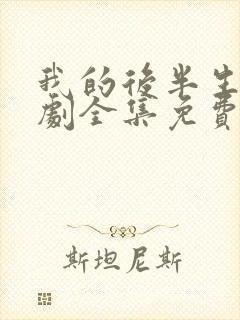 我的后半生电视剧全集免费播放高清版封面