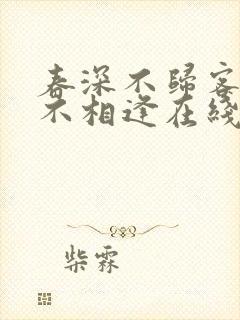 春深不归客清梦不相逢在线封面