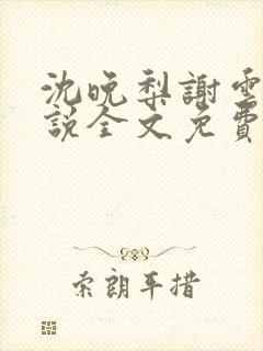 沈晚梨谢云迟小说全文免费