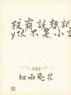 校霸说想试试by伏不是小说免费阅读