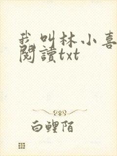 我叫林小喜免费阅读txt