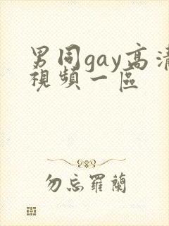 男同gay高清视频一区