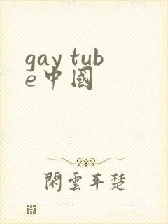 gay tube中国