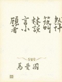 顾言林筱然的原著小说叫什么