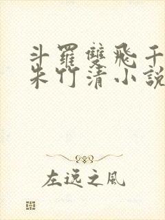 斗罗双飞千仞雪朱竹清小说封面