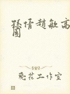 孙倩赵敏高义大团