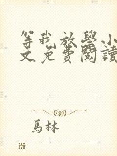 等我放学小说全文免费阅读