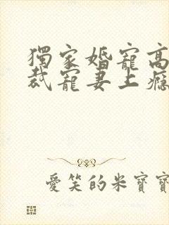 独家婚宠高冷总裁宠妻上瘾免费阅读封面