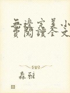 无边完美小说免费阅读全文最新章节