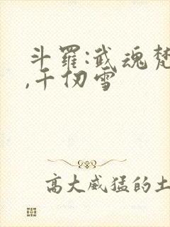 斗罗:武魂梵天,千仞雪