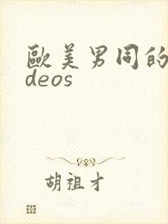 欧美男同的videos
