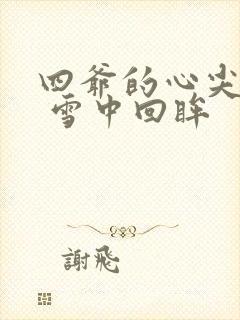 四爷的心尖宠妃 雪中回眸封面