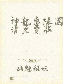 神龙车队国语高清免费版