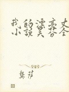 我的漂亮丈母娘小说吴芬全文阅读