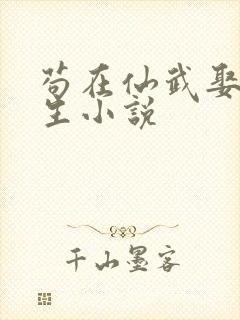 苟在仙武娶妻长生小说