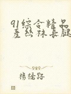 91综合精品国产丝袜长腿久久久封面