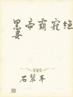 黑帝霸宠绝色逃妻