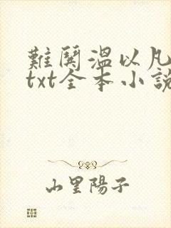 难哄温以凡桑延txt全本小说封面