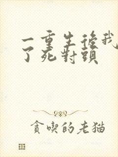 一重生后我嫁给了死对头