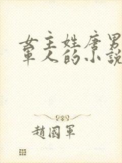 女主姓唐男主是军人的小说