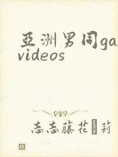 亚洲男同gayvideos封面
