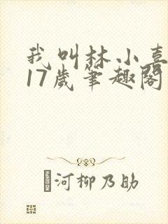 我叫林小喜今年17岁笔趣阁